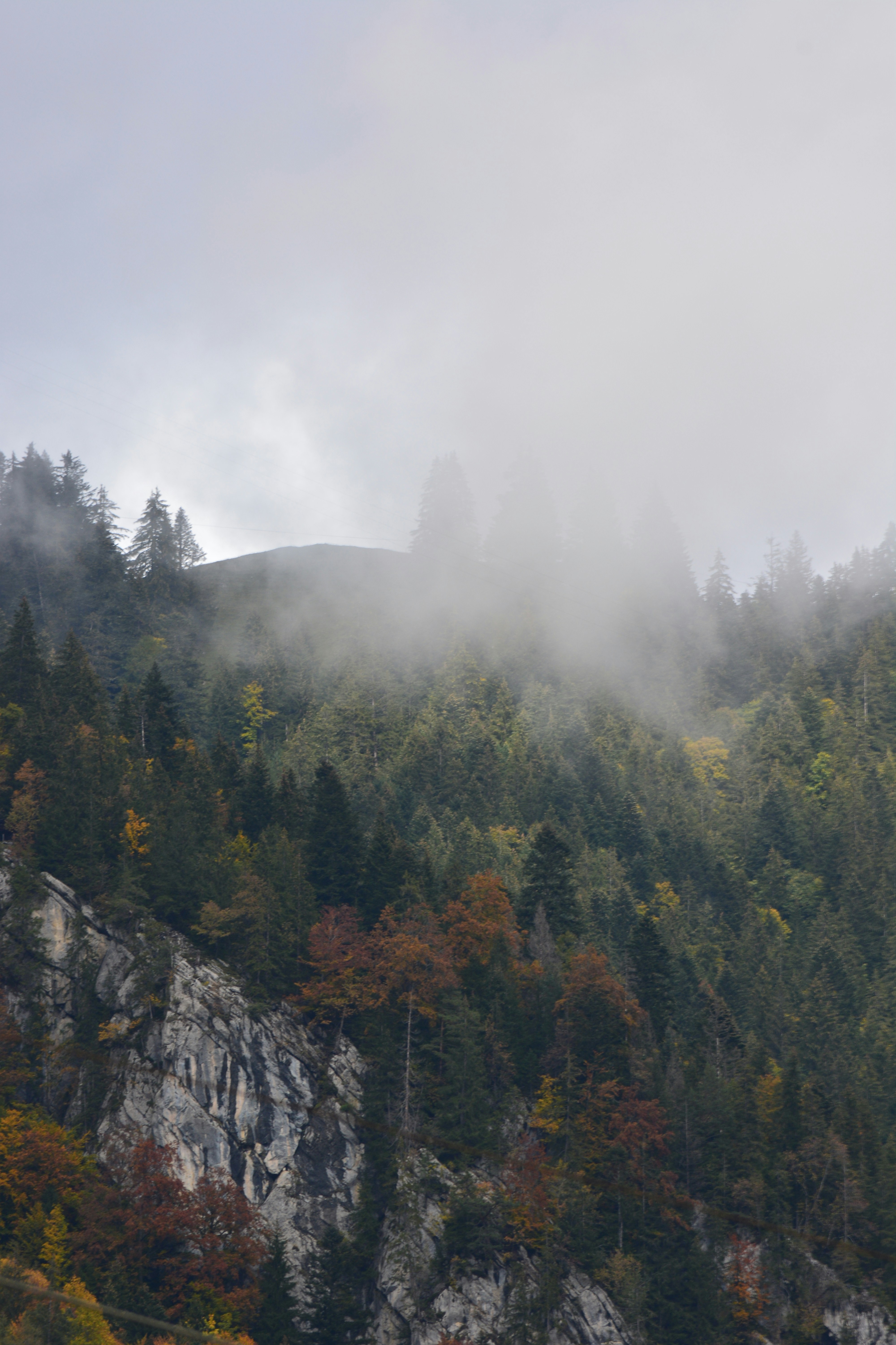 Photo by pedrino5_official