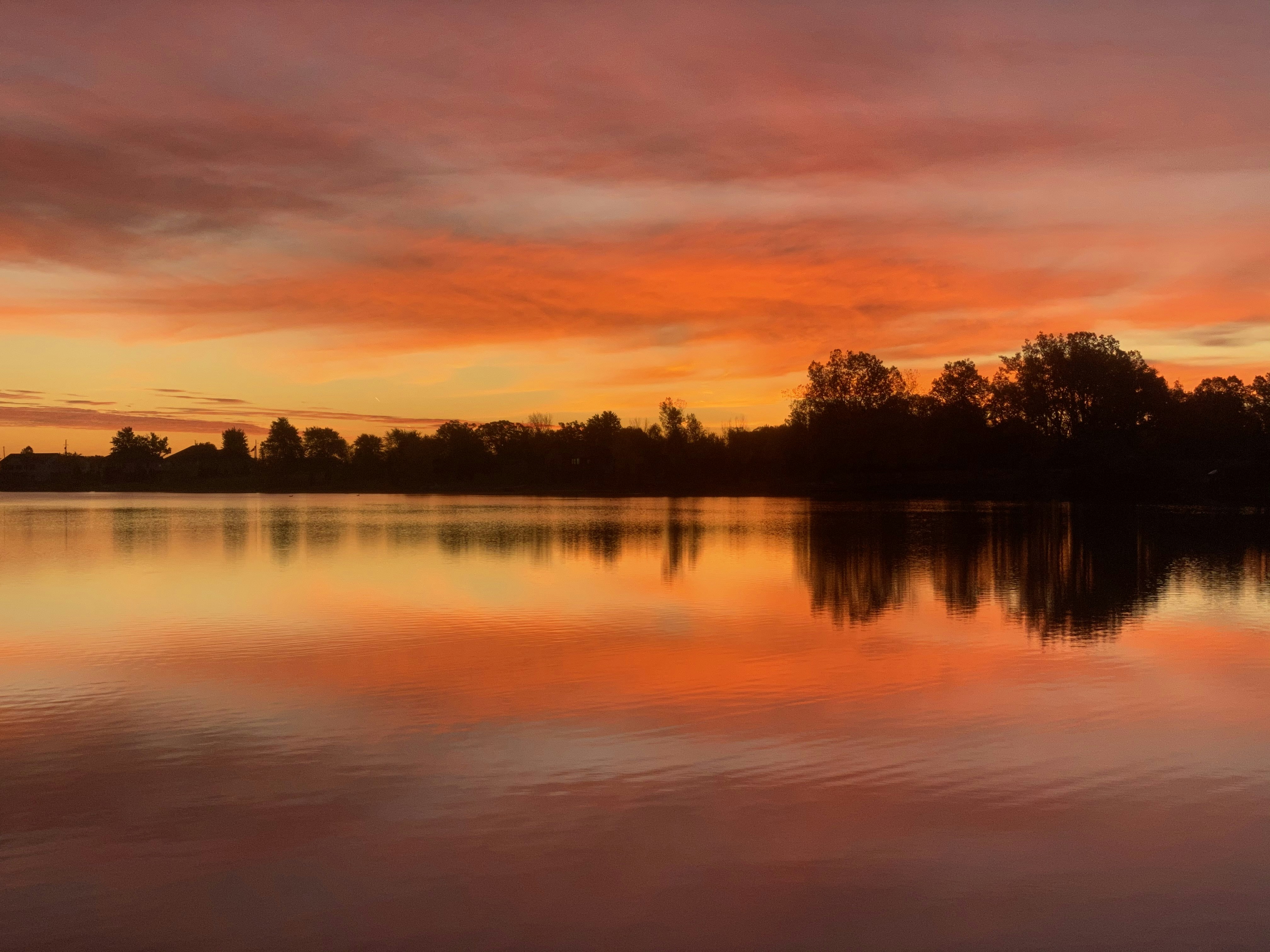 Photo by jsteelebear