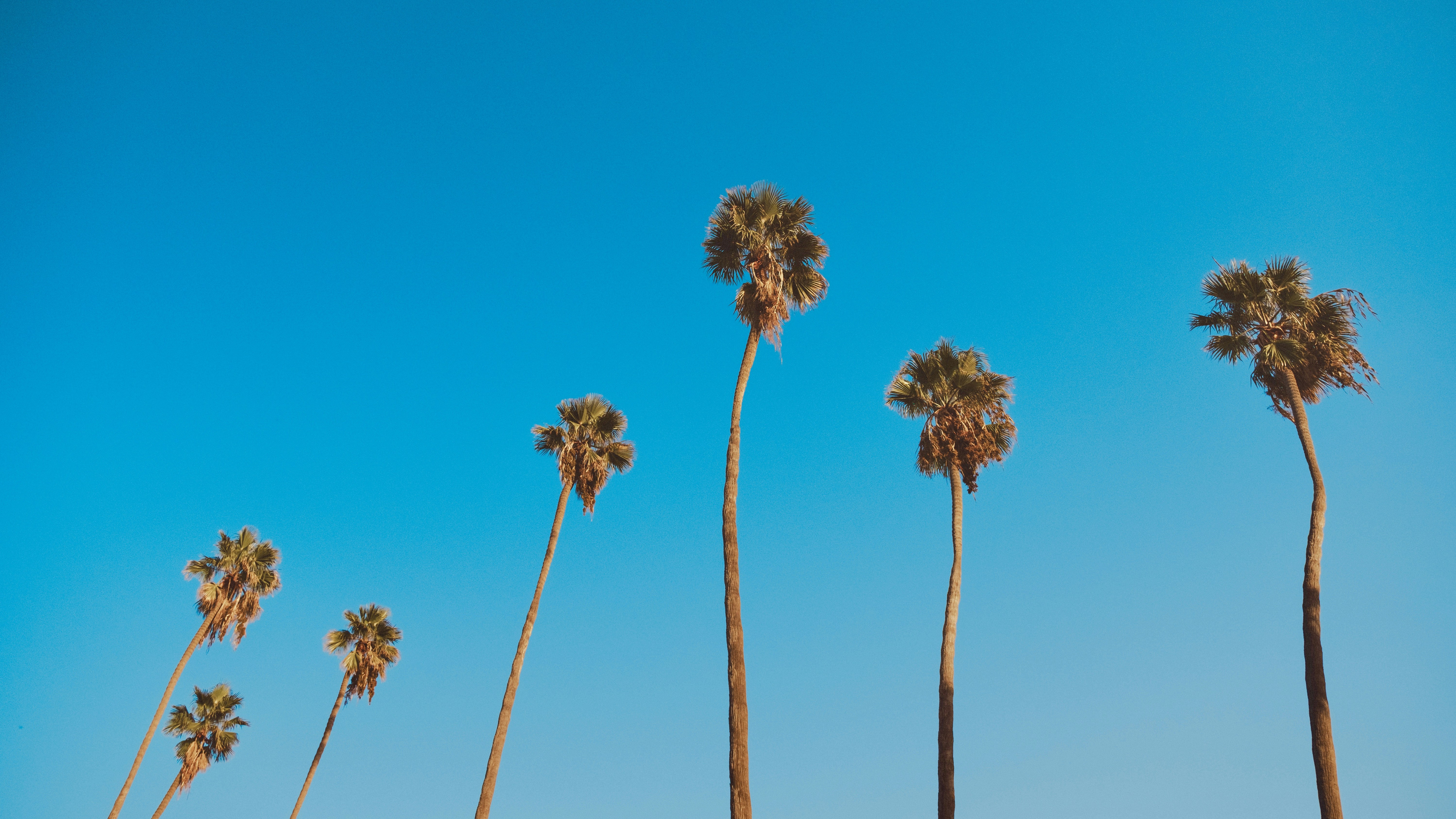 What can someone expect from a treatment center?