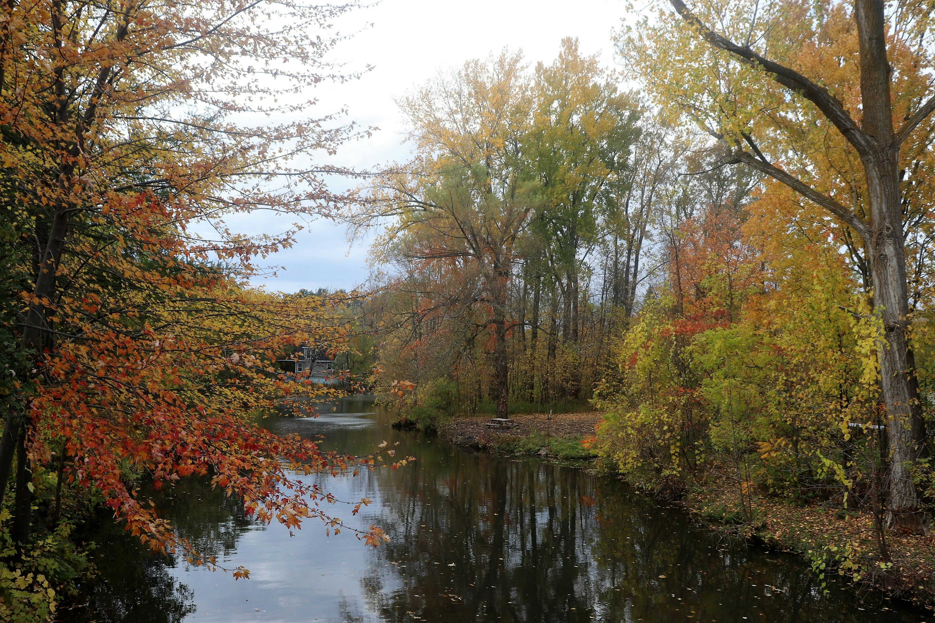 Photo by firebirdvll