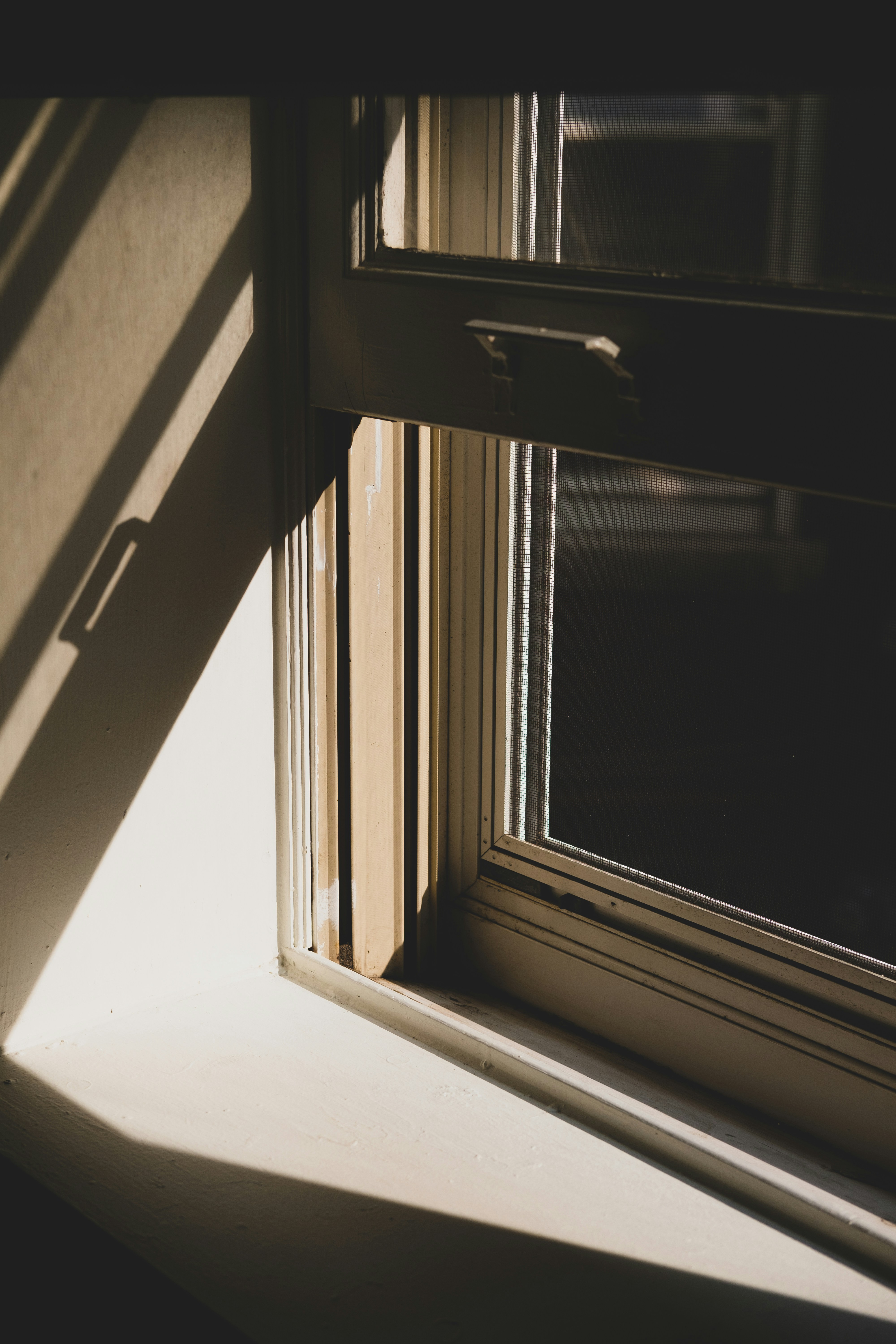 Photo by goodbetterbetts