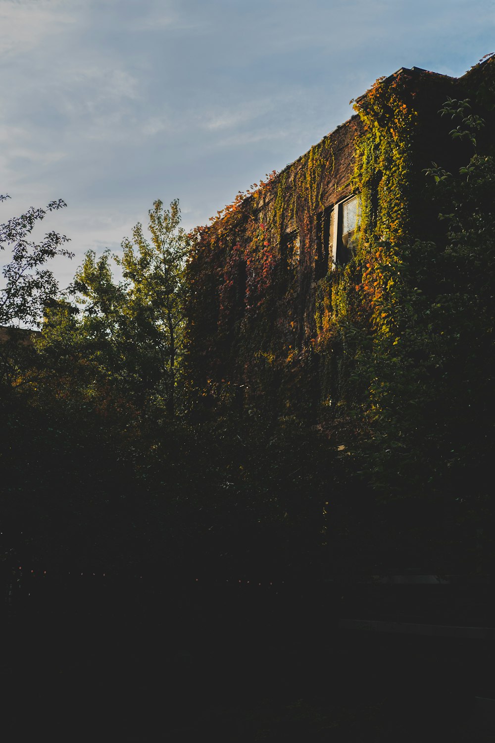 green trees beside brown concrete building during daytime