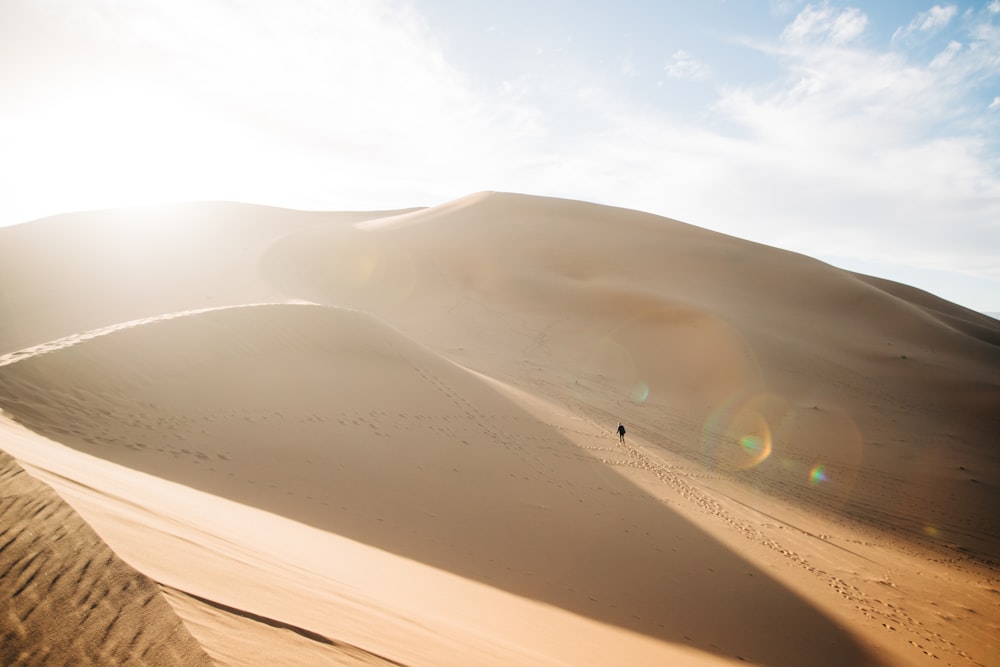 auto bianca sul deserto durante il giorno