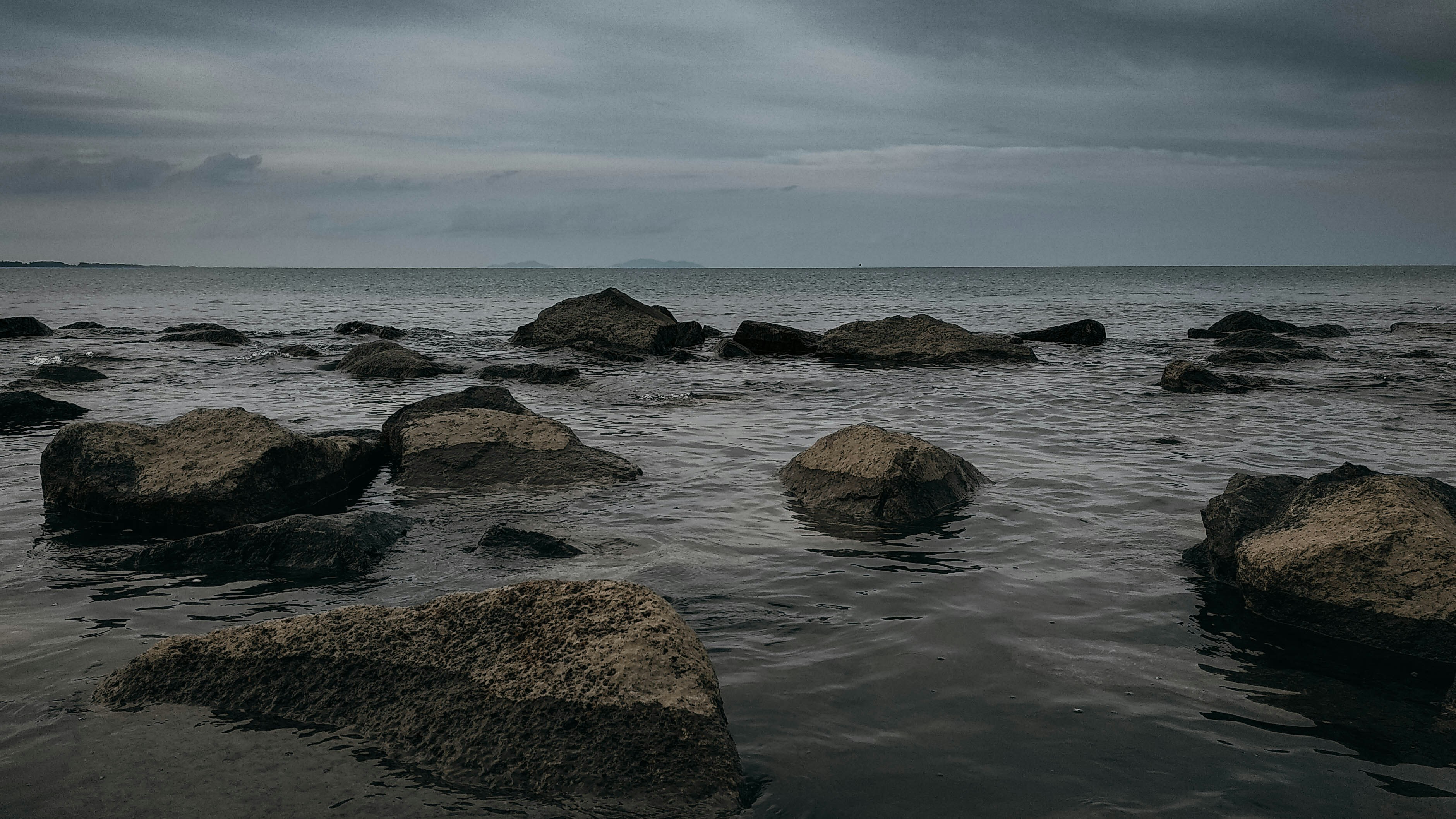 Wild Dark Shore by Charlotte McConaghy