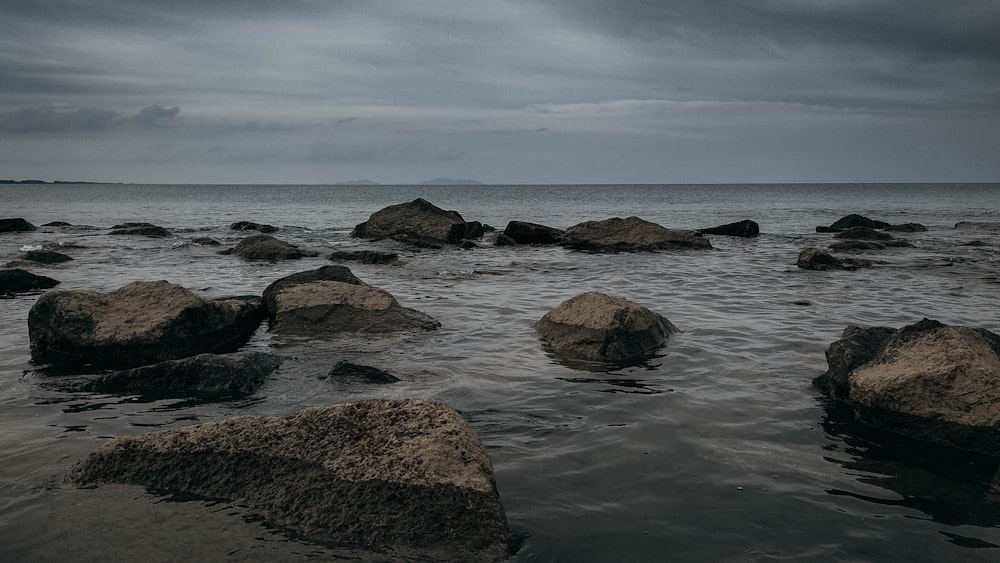 Stones In Water Pictures  Download Free Images on Unsplash