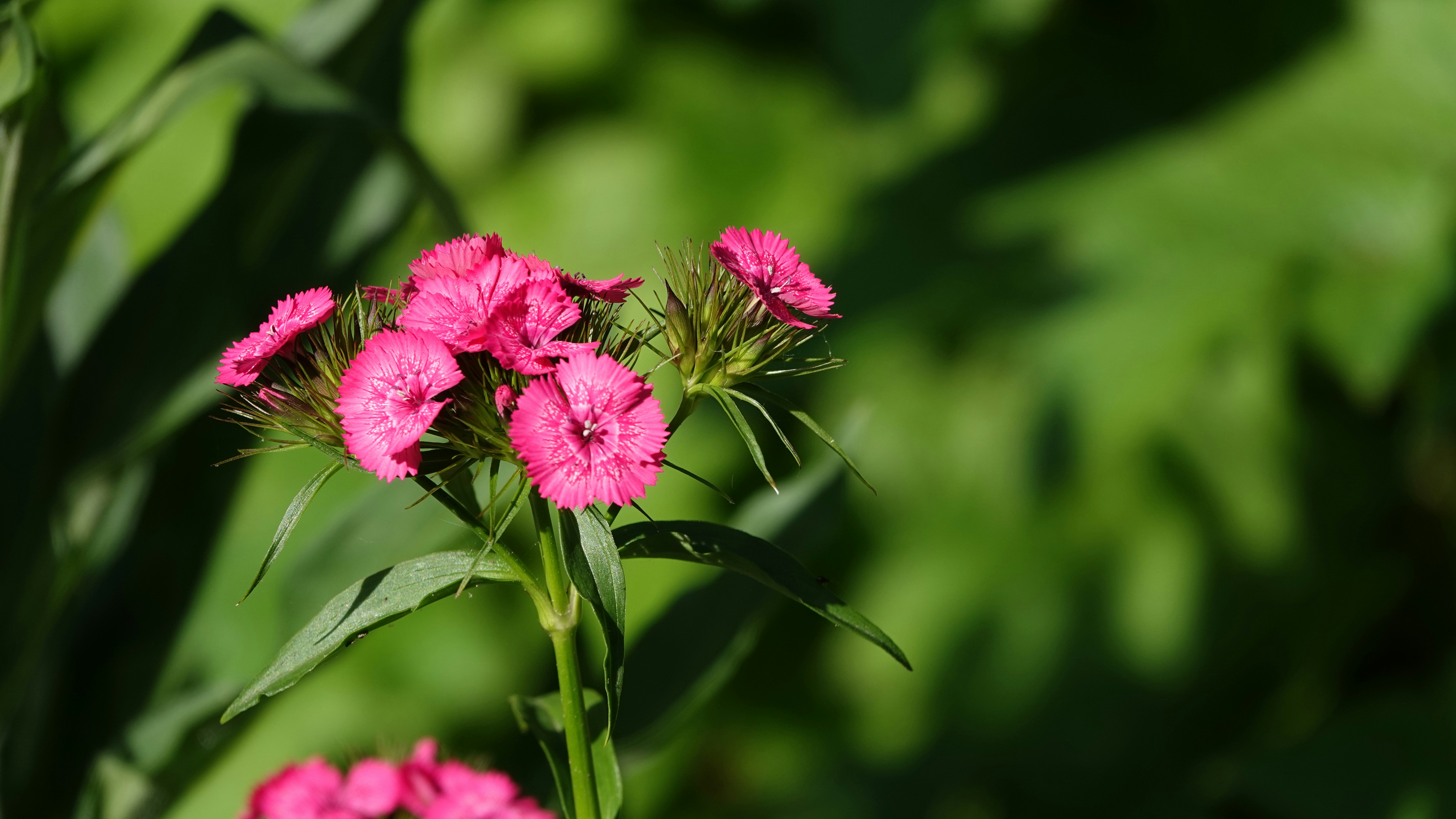 Photo by hooverpaul55