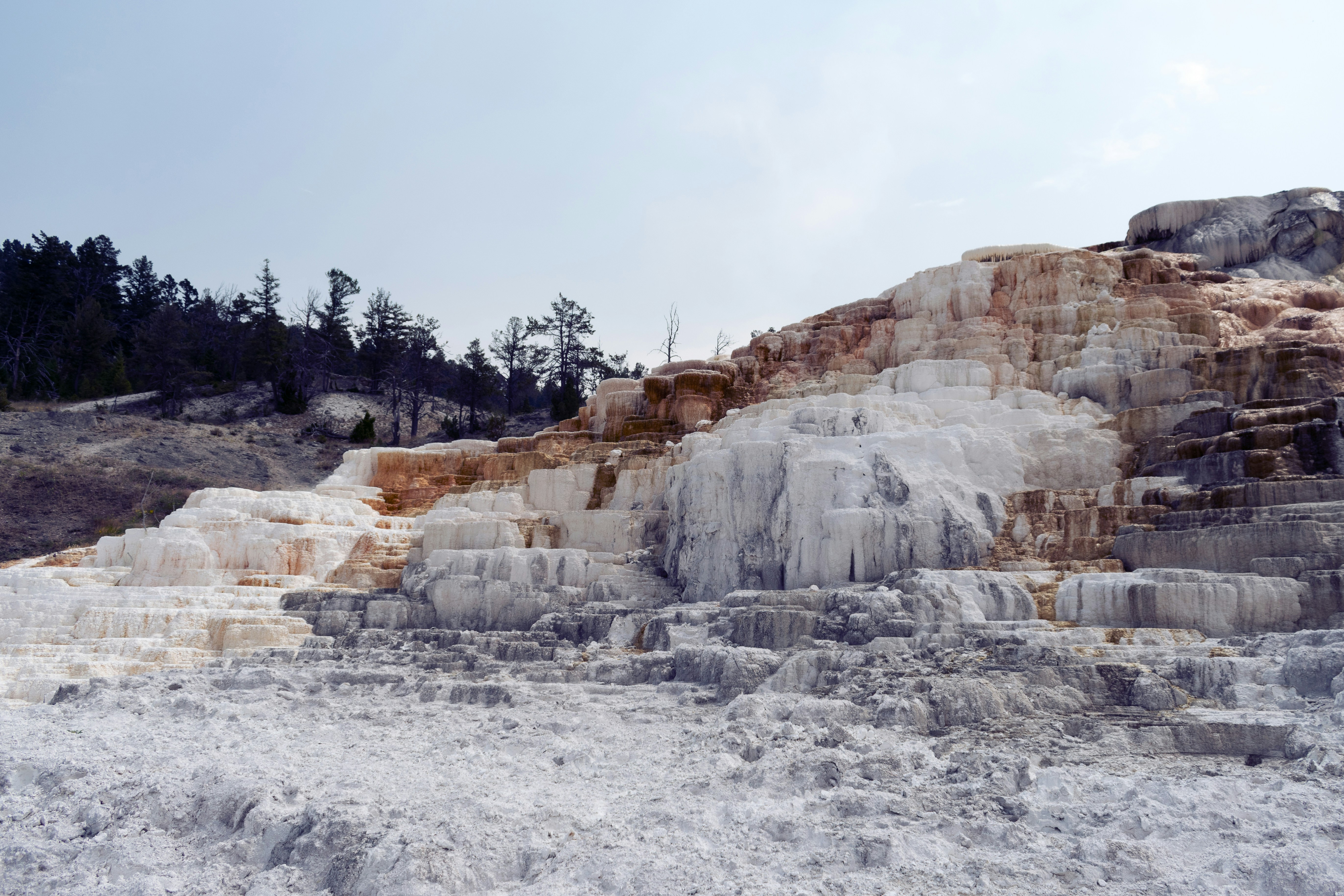 salt depositions in mammoth hot springs,yellow stone national park
