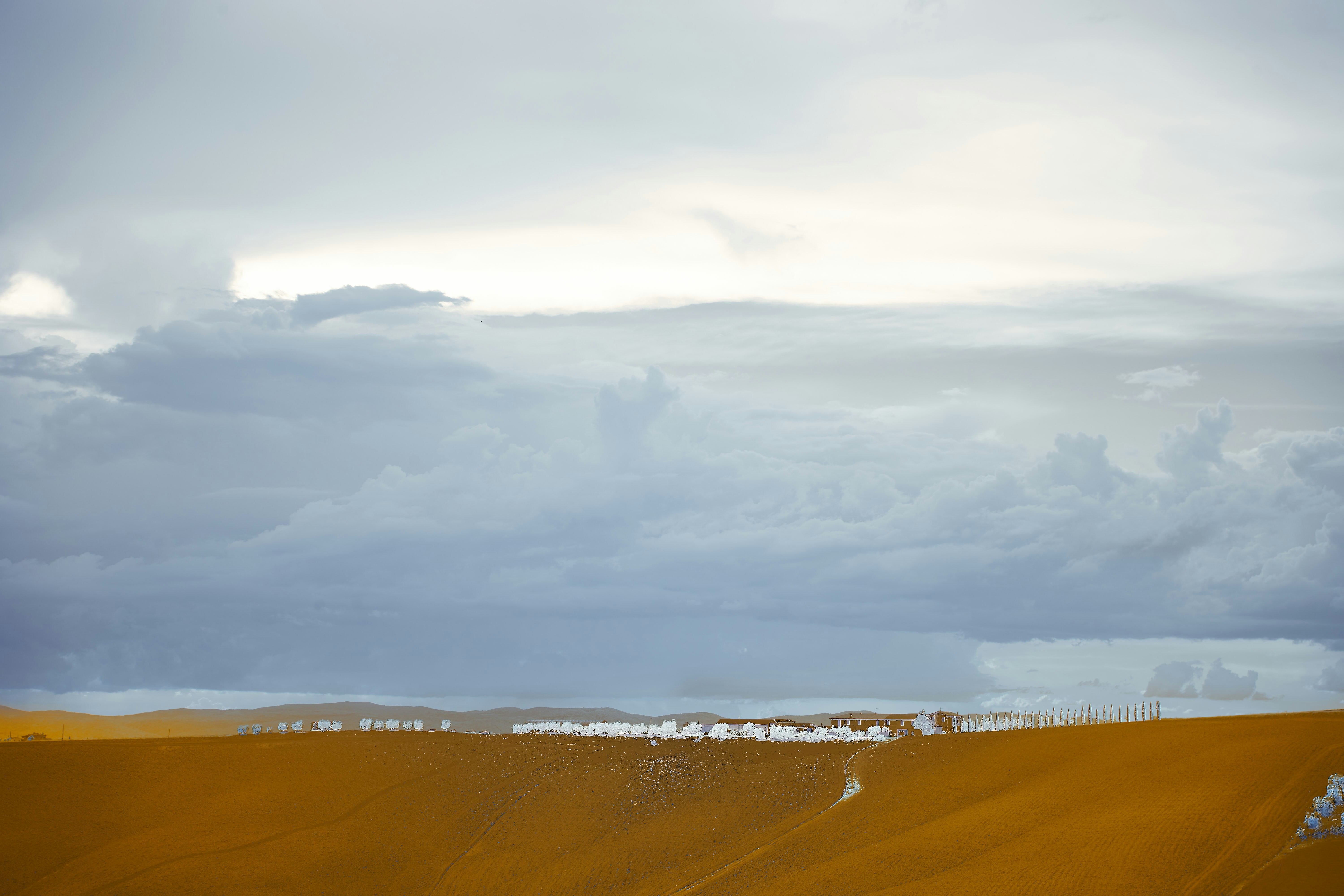 Photo by wolfgang_hasselmann