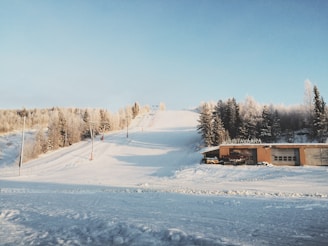 A snowy landscape with a ski slope and surrounding frost-covered trees. A building is positioned at the base of the slope, and ski lifts are visible climbing up the hill. The sky is clear and blue, adding contrast to the white scenery.