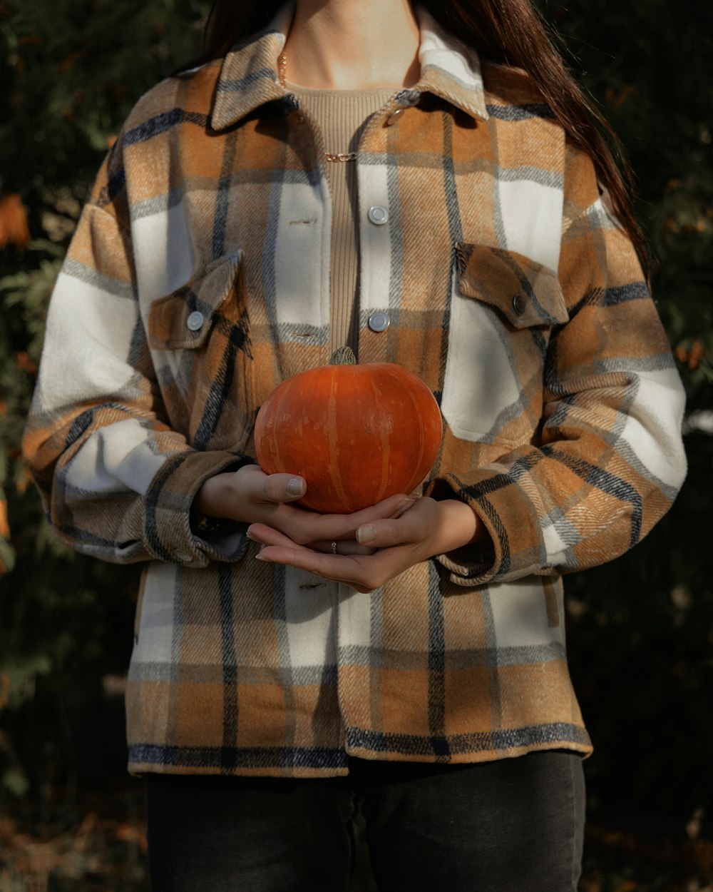 person in brown and white plaid button up shirt holding red apple