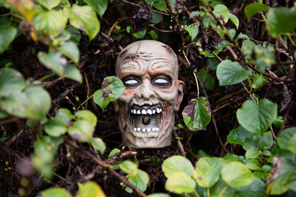 maschera di legno marrone su piante verdi