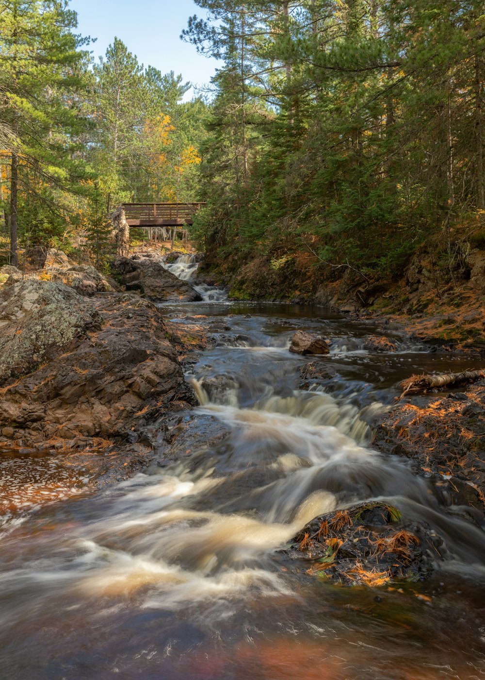 river in the middle of forest during daytime