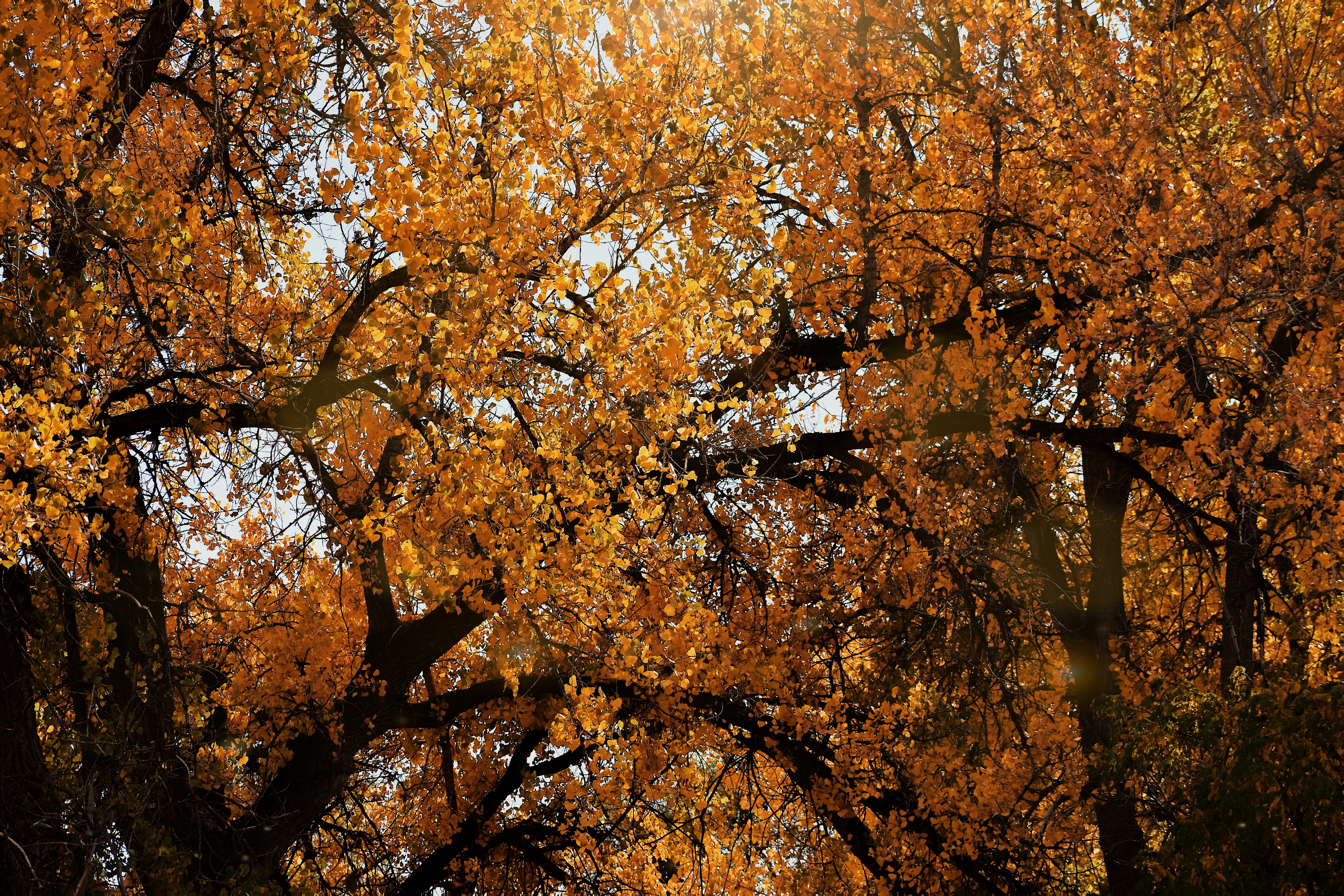 Photo by laurenlopes