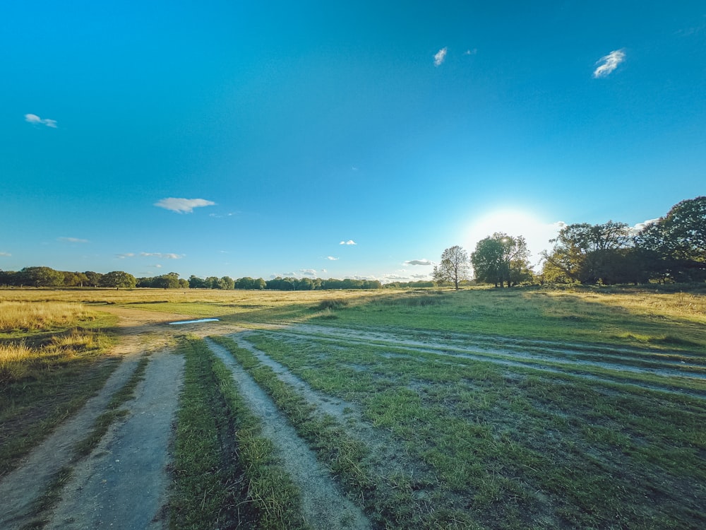 green grass field under blue sky during daytime