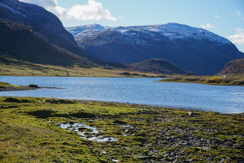 green grass field near lake and mountains during daytime