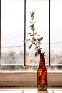 Thoughtful Gift Favorite