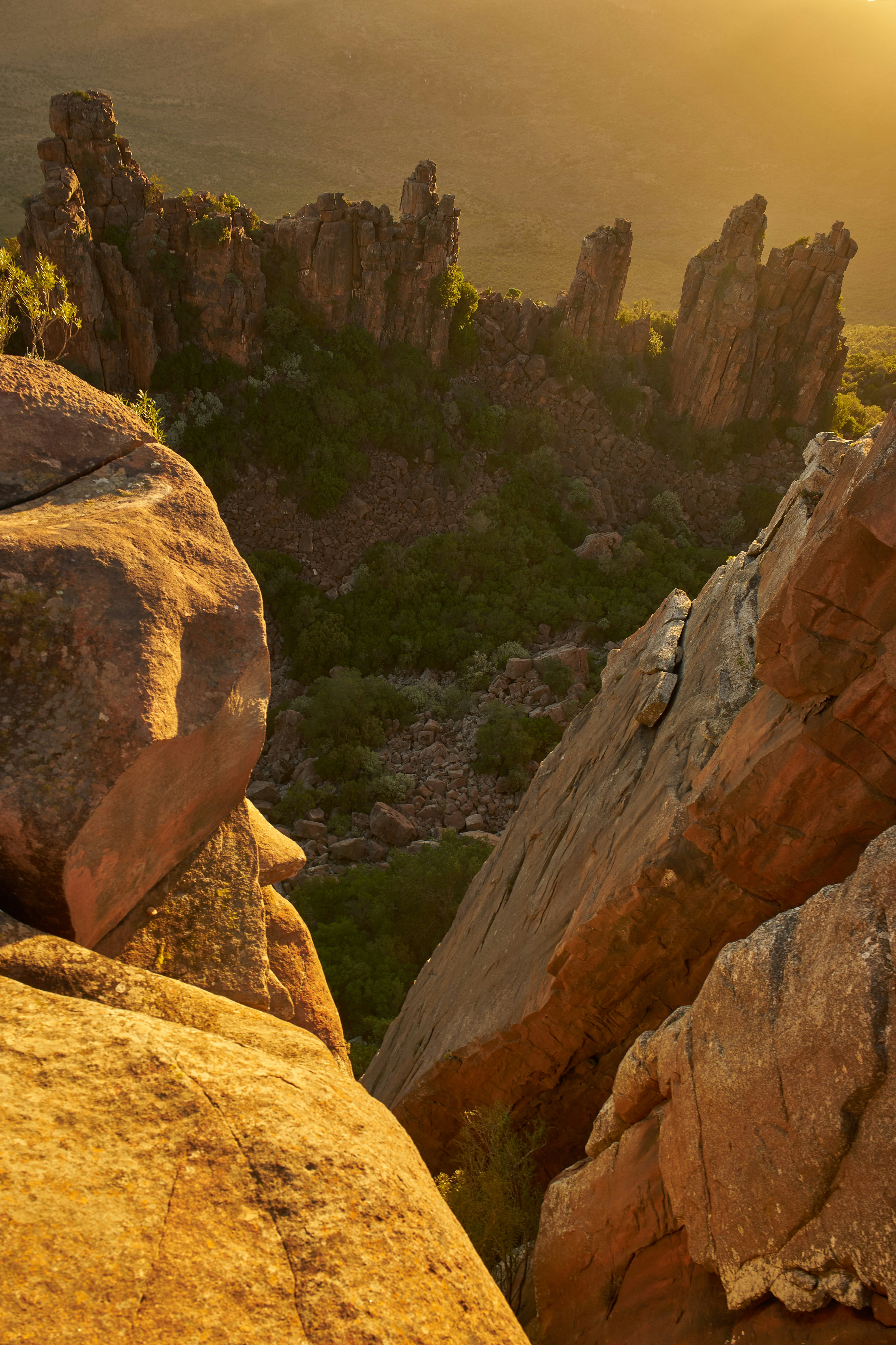 Photo by wolfgang_hasselmann