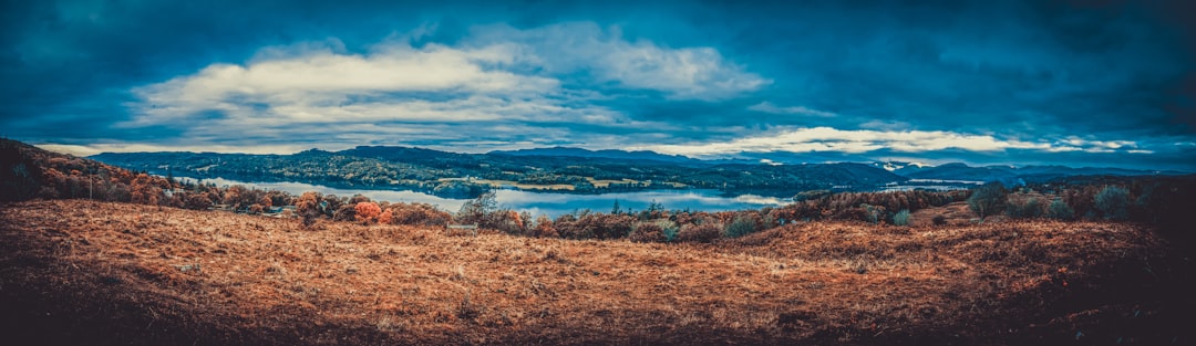 brown grass field near body of water under blue sky during daytime