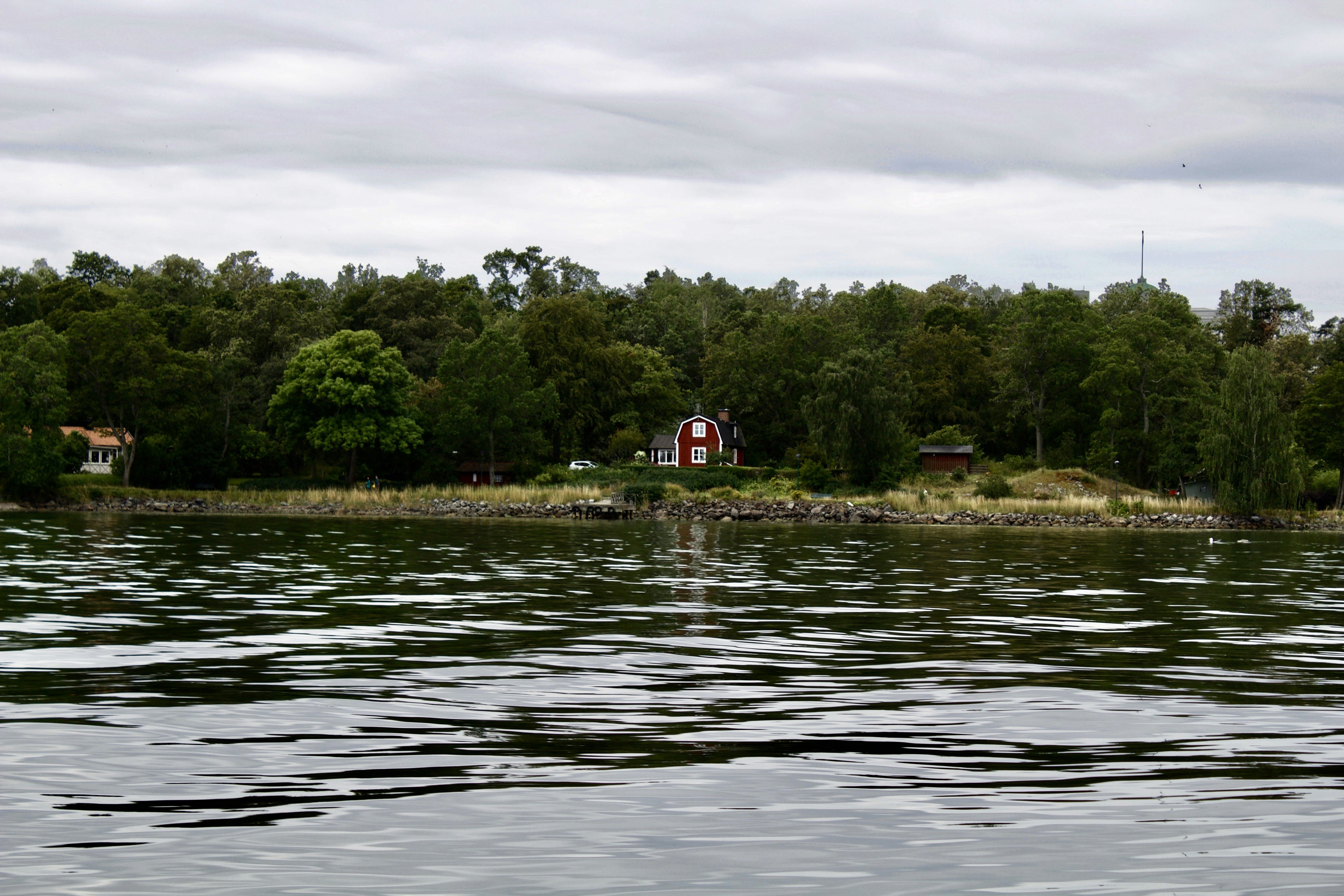 Photo by claudiamessner