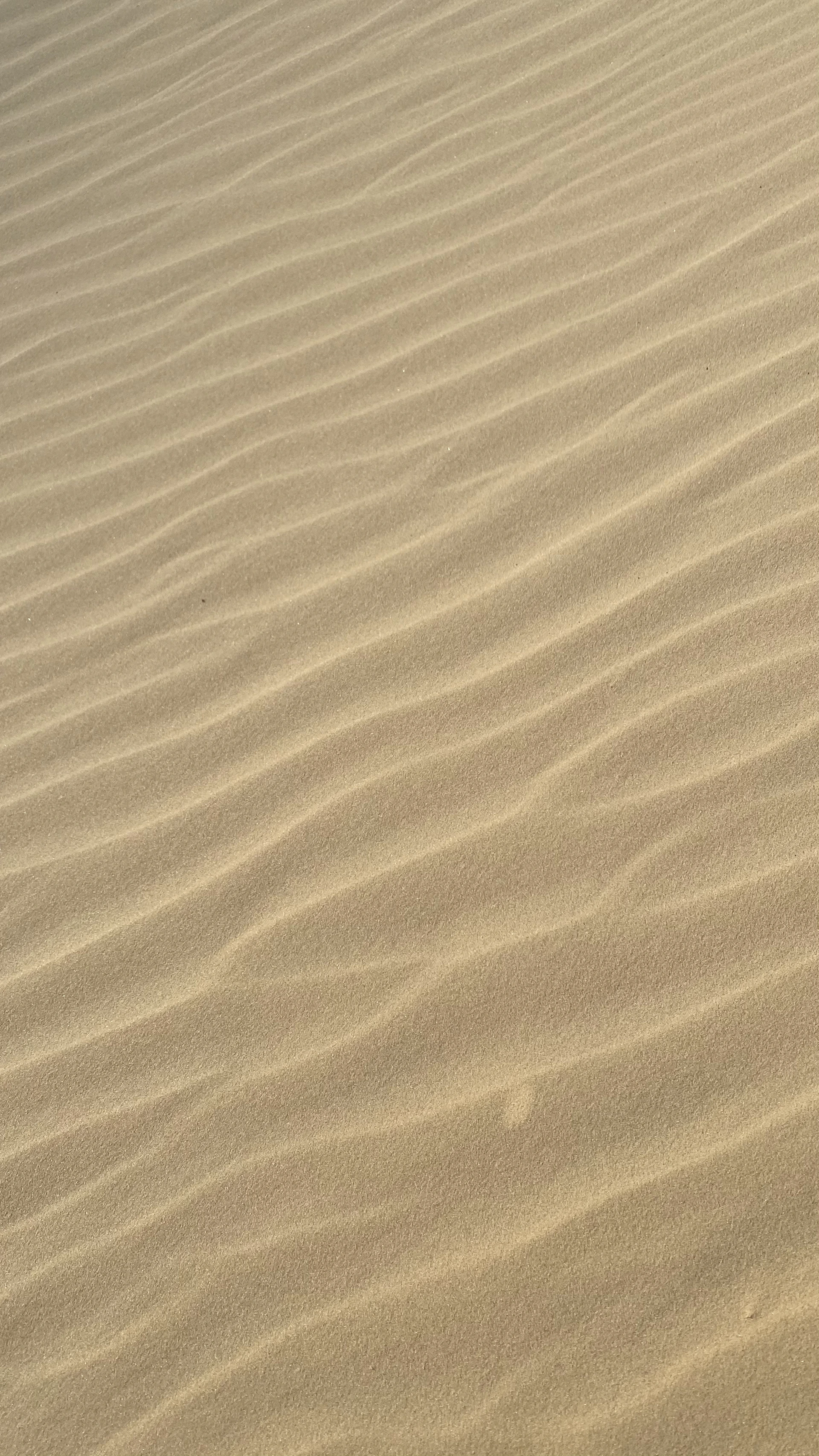 brown sand with shadow of person