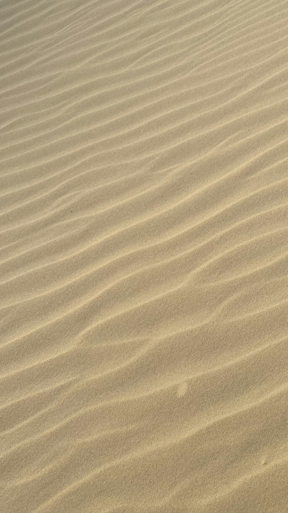 brown sand with shadow of person