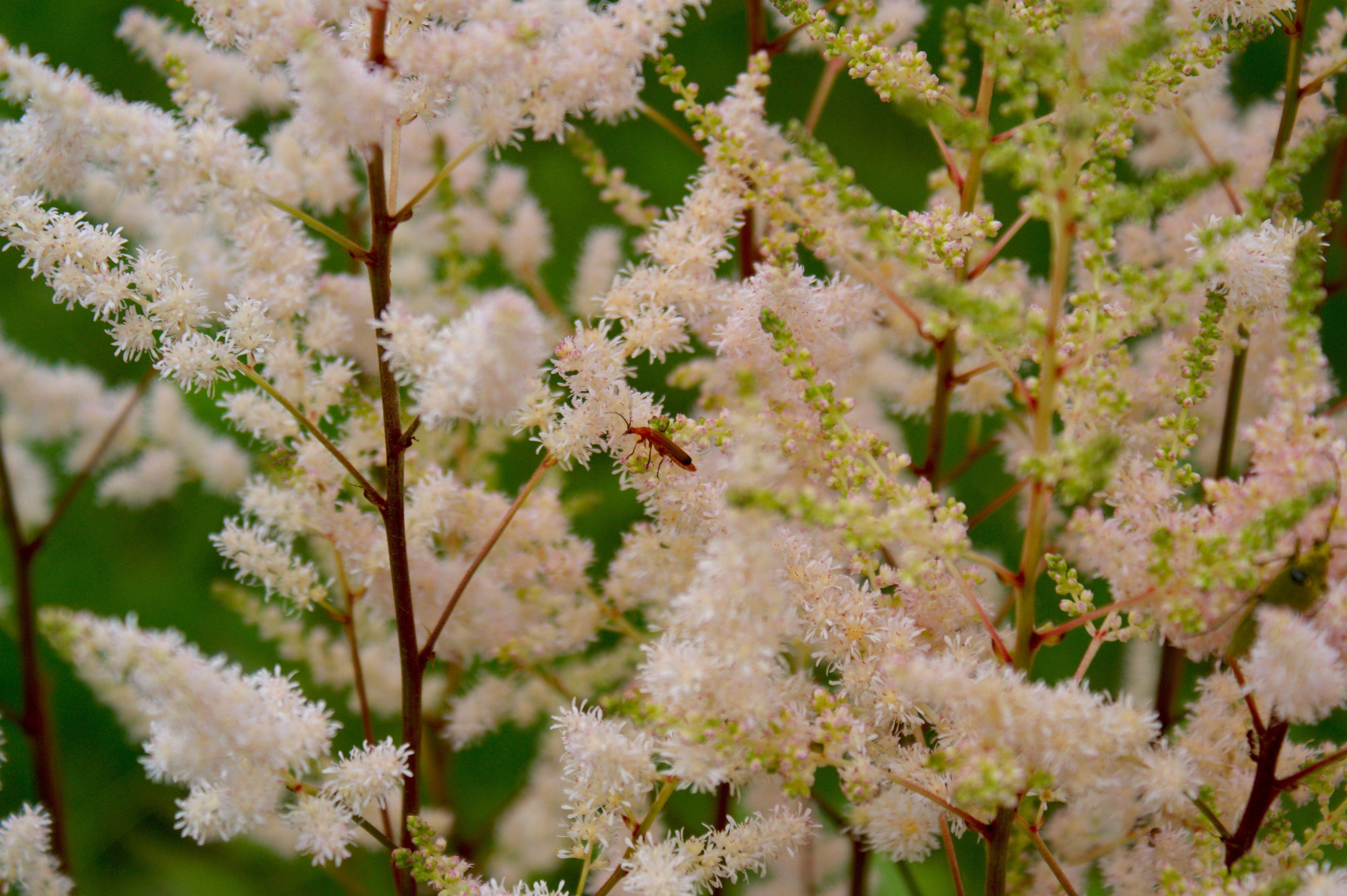 Photo by walking_contradiction