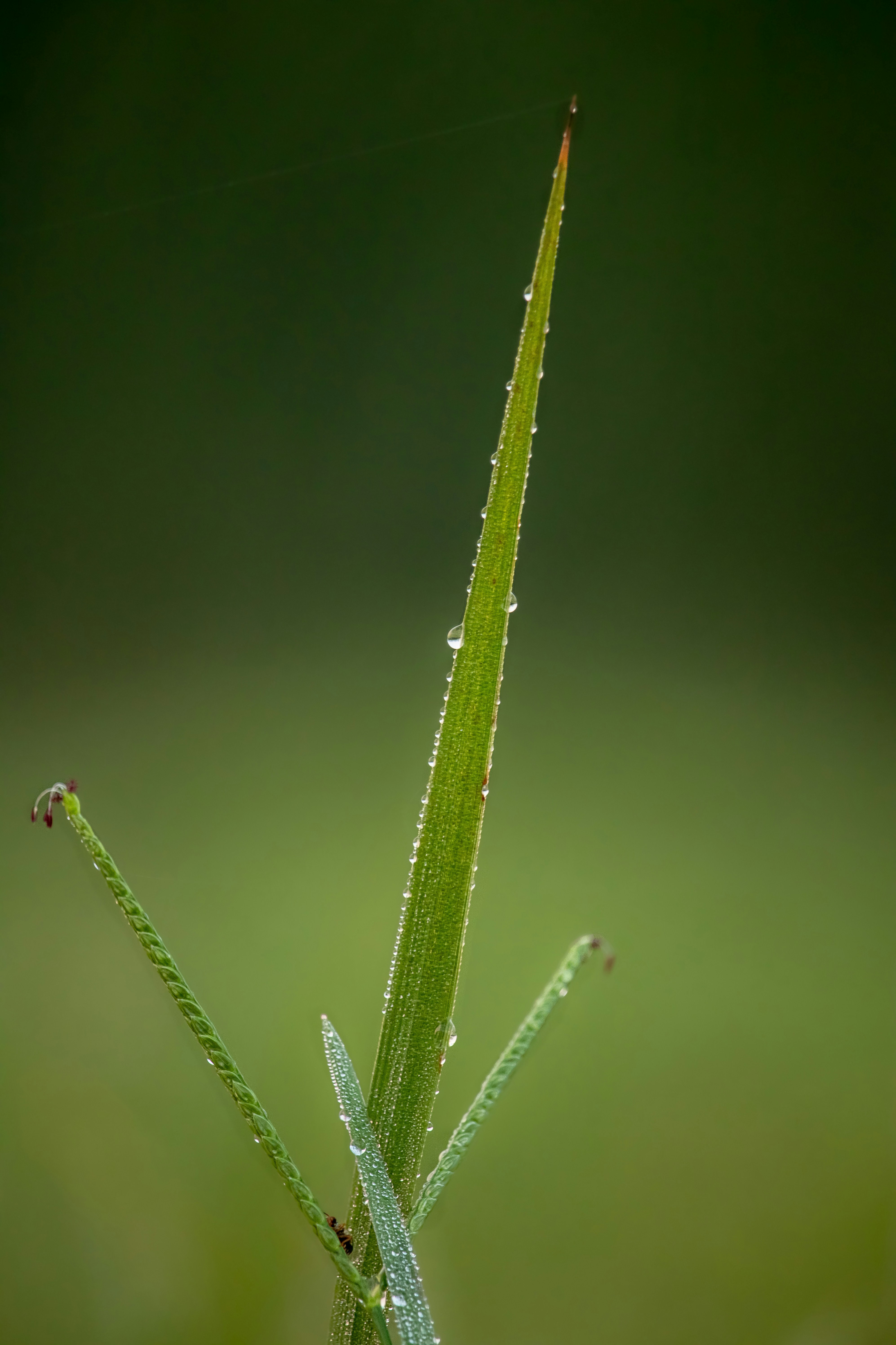 Photo by zs_photography_s