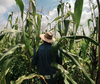 woman in blue long sleeve shirt wearing brown hat standing in corn field during daytime