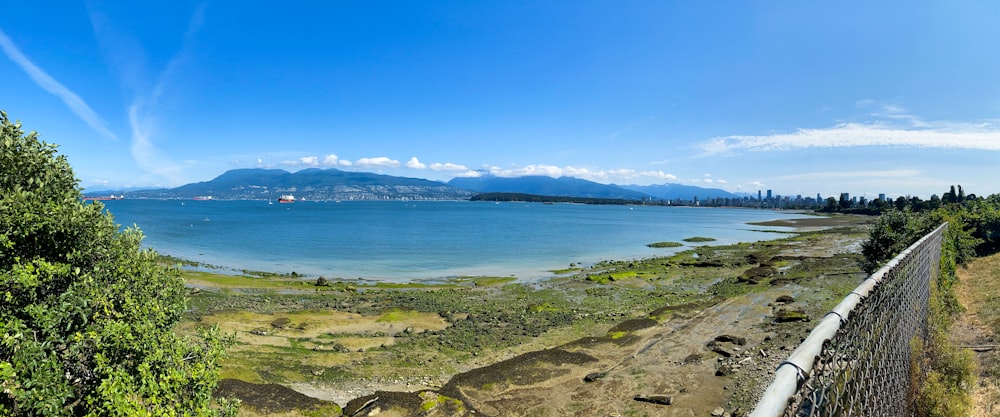 green grass field near body of water during daytime