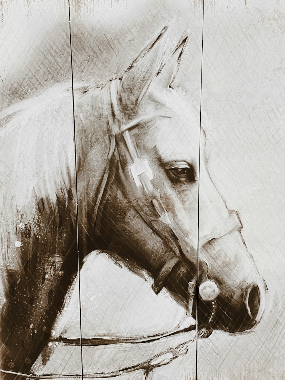 boceto de caballo marrón y blanco