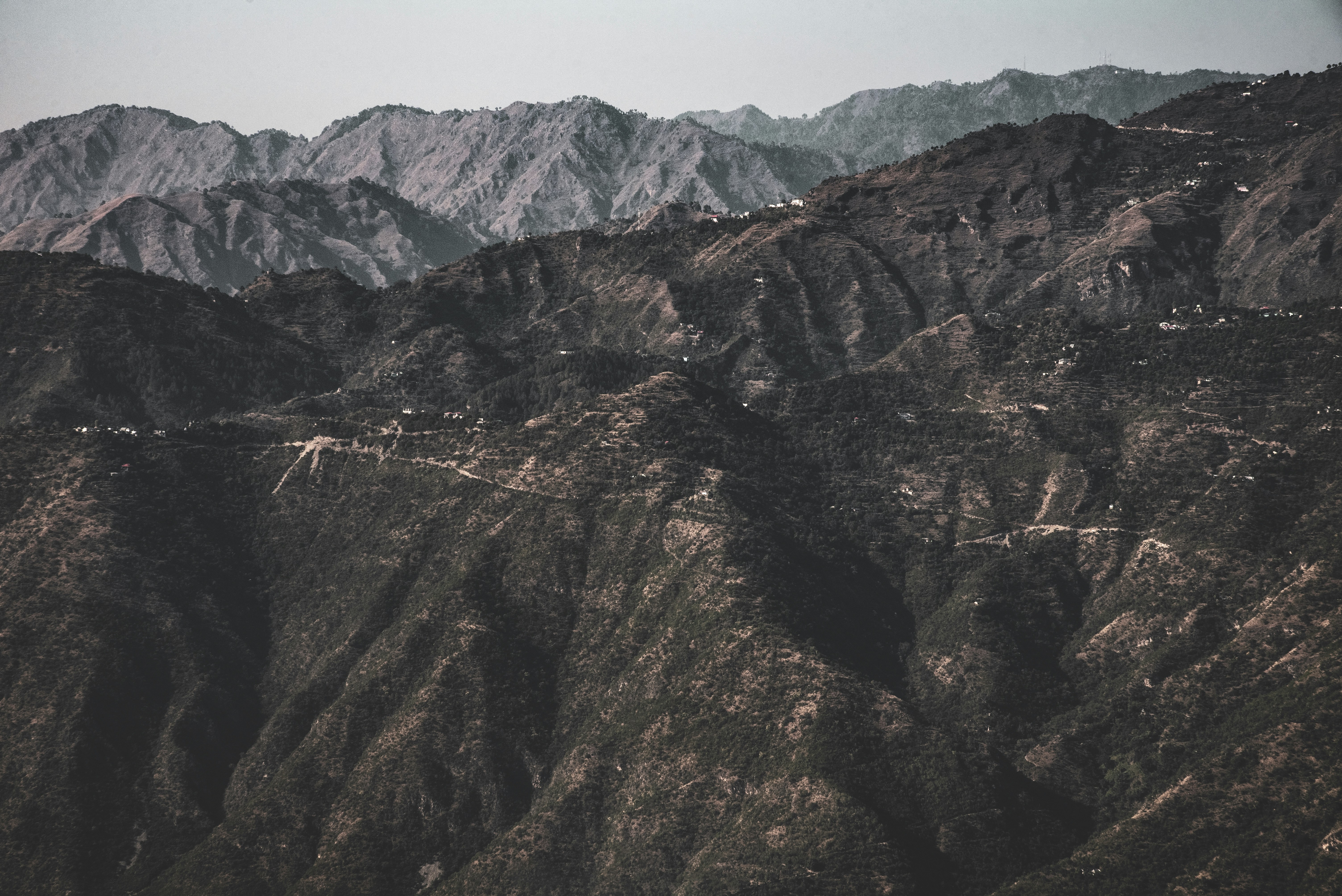 Photo by vickyadams_007