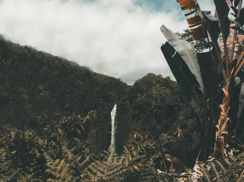 white and black plane on top of mountain