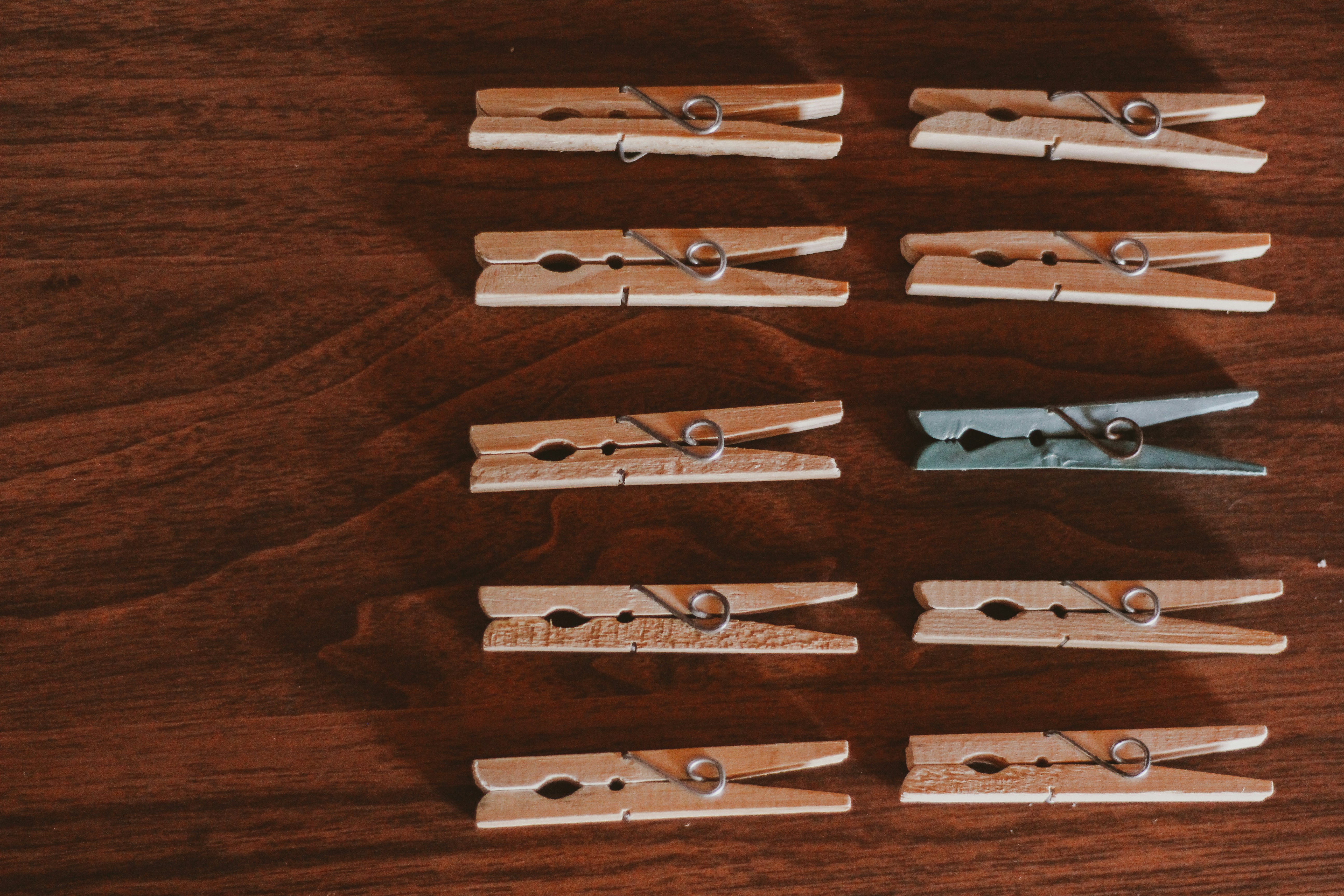 Photo by igorrodrigues