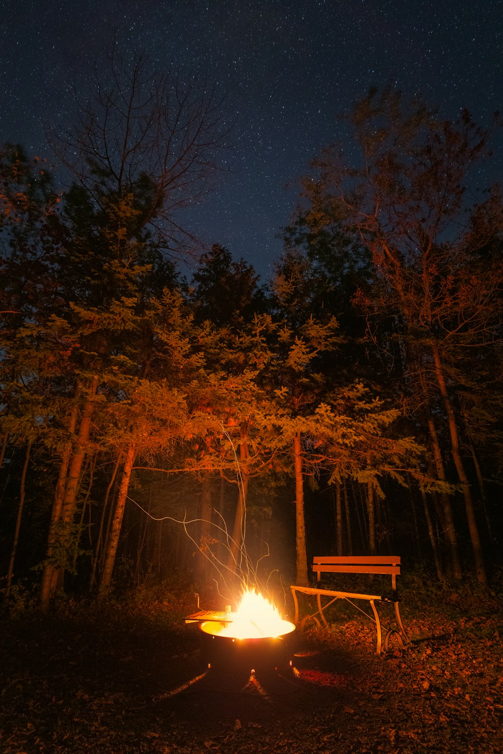 brown wooden bench near bonfire during night time