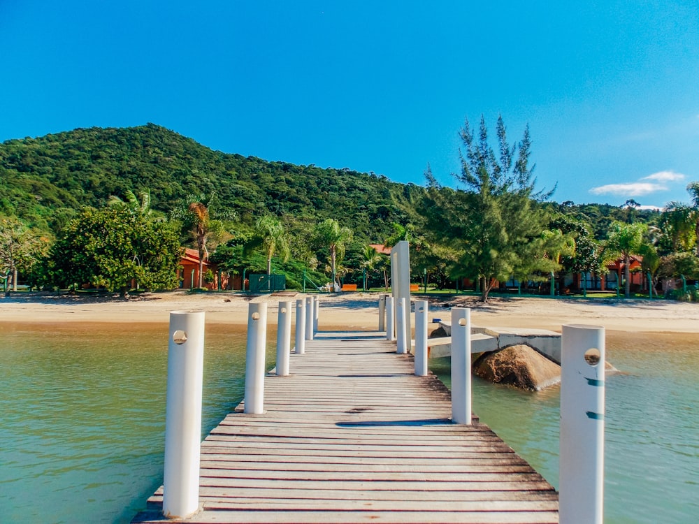 brown wooden dock on lake during daytime