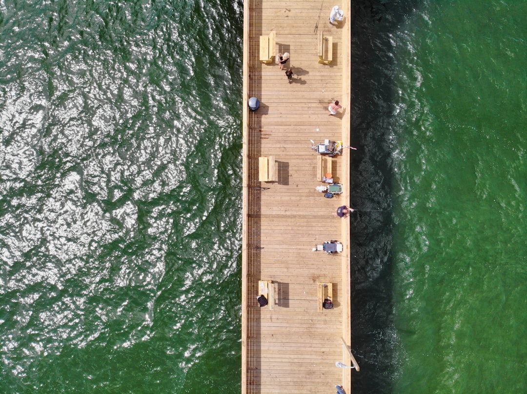 people on brown wooden dock during daytime