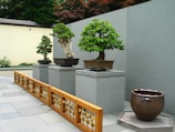 A well-maintained outdoor garden area features multiple potted bonsai trees on stone pedestals. A decorative wooden railing with intricate patterns divides the space, and a large ceramic pot is placed nearby. The background includes textured gray walls and lush green trees, while a subtle, muted color palette enhances the serene ambiance.