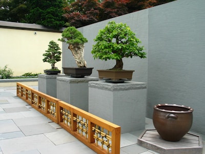 A well-maintained outdoor garden area features multiple potted bonsai trees on stone pedestals. A decorative wooden railing with intricate patterns divides the space, and a large ceramic pot is placed nearby. The background includes textured gray walls and lush green trees, while a subtle, muted color palette enhances the serene ambiance.