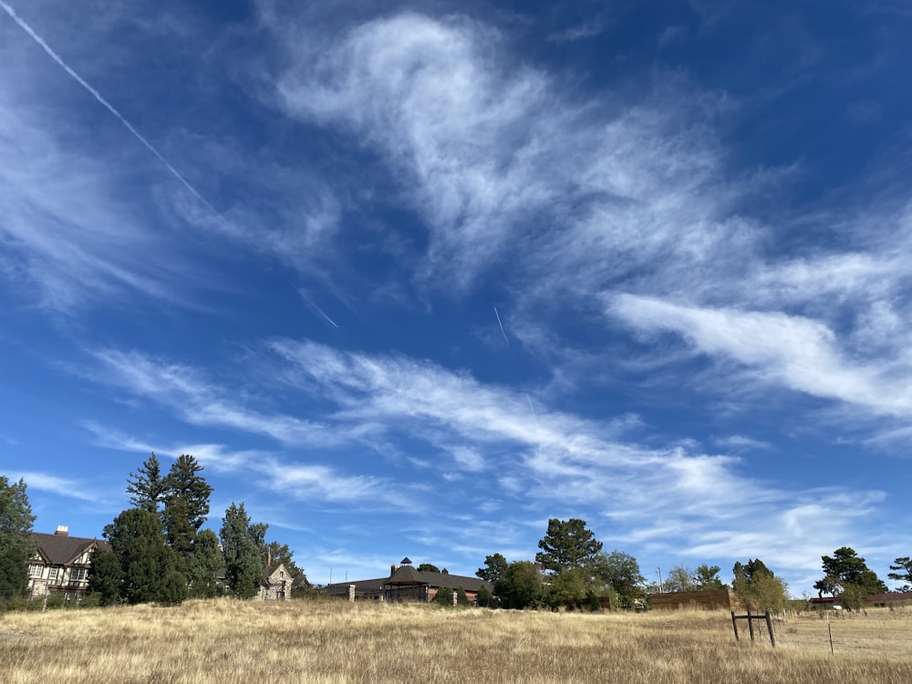 árboles verdes bajo el cielo azul y nubes blancas durante el día