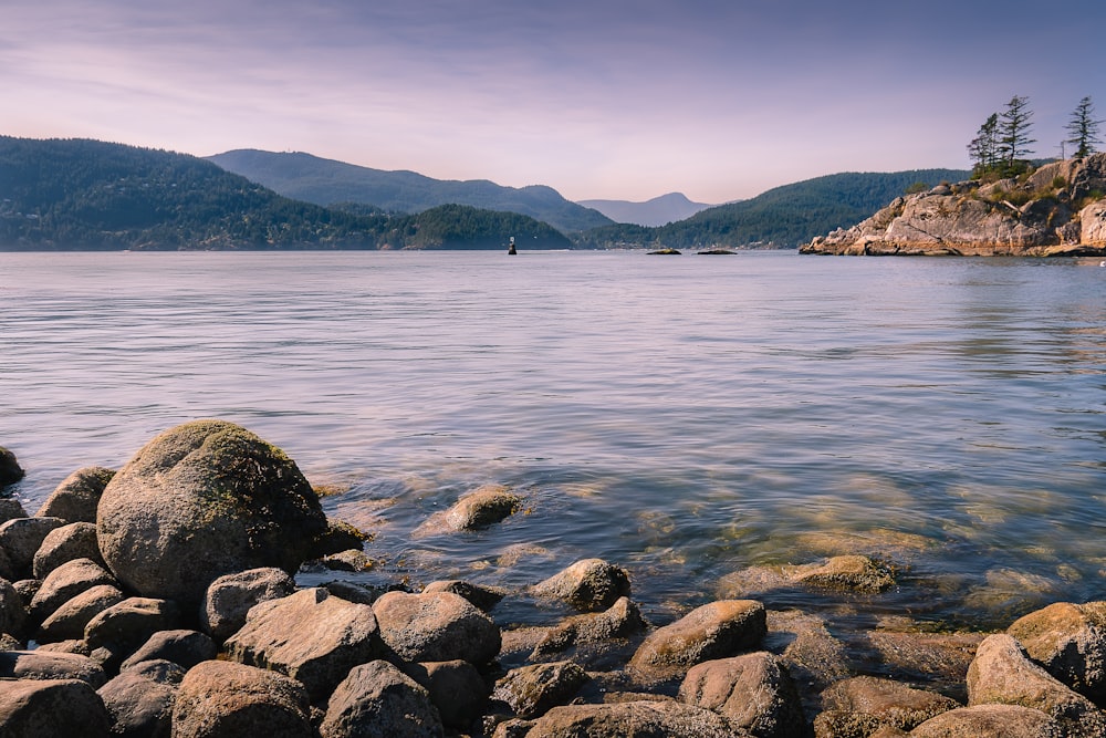 brown rocks near body of water during daytime