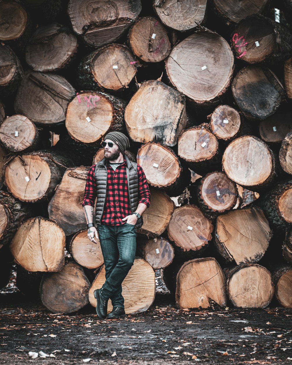 pessoa em jeans azuis em pé no tronco de madeira marrom