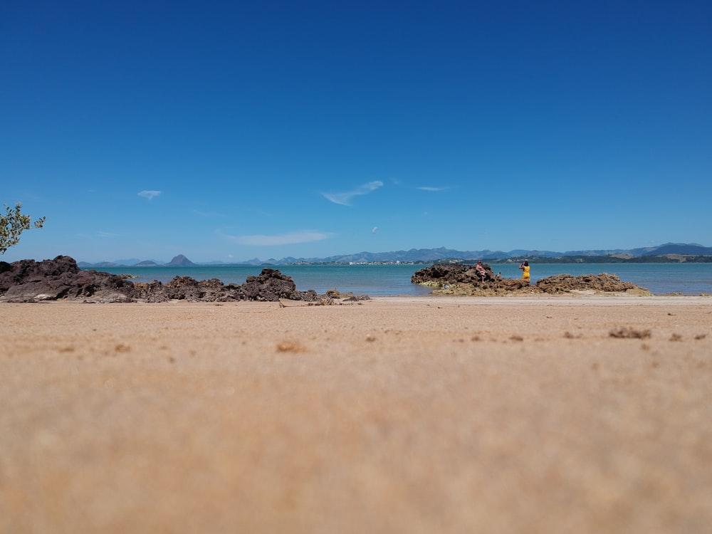 people on beach during daytime