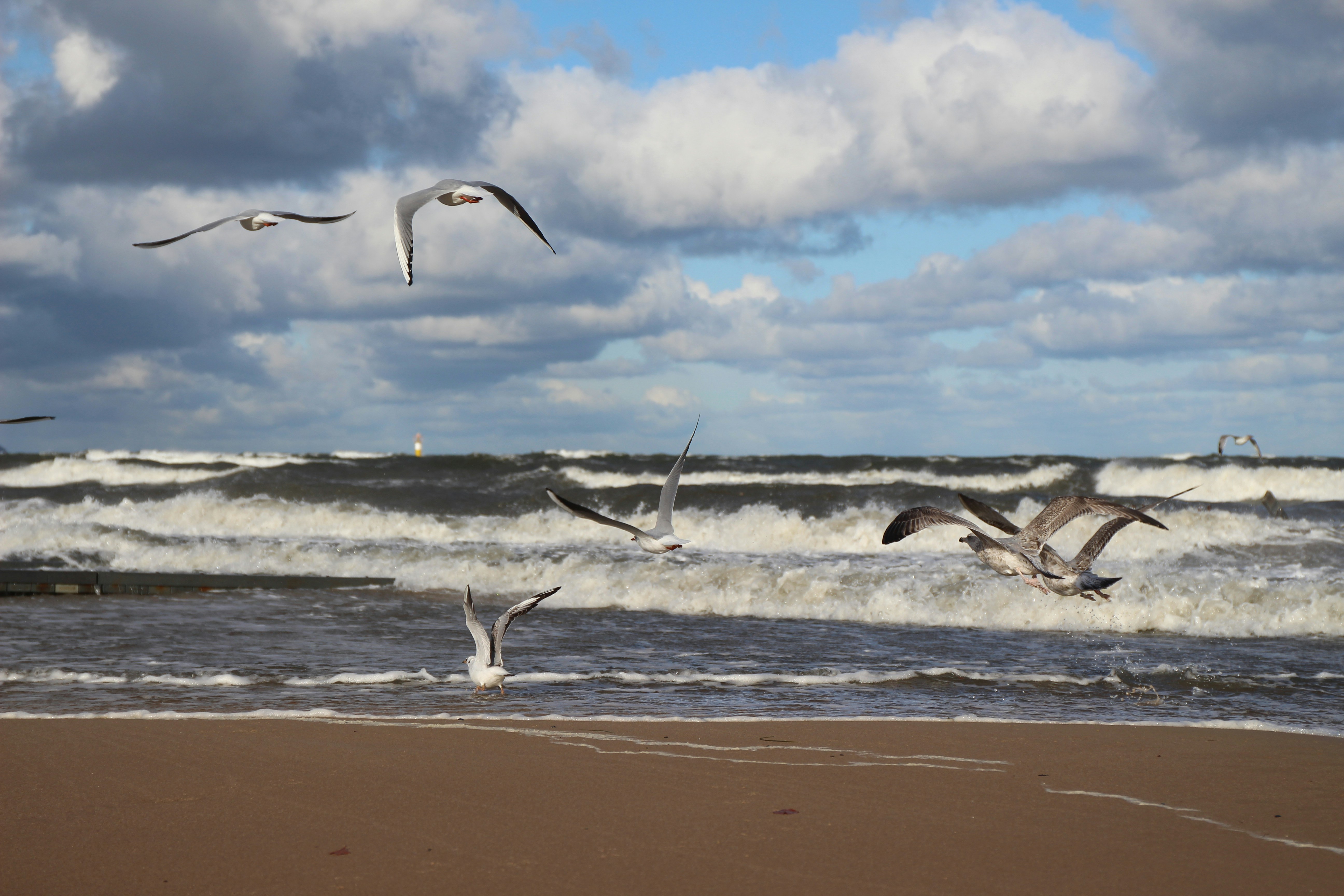 Photo by mparzuchowski