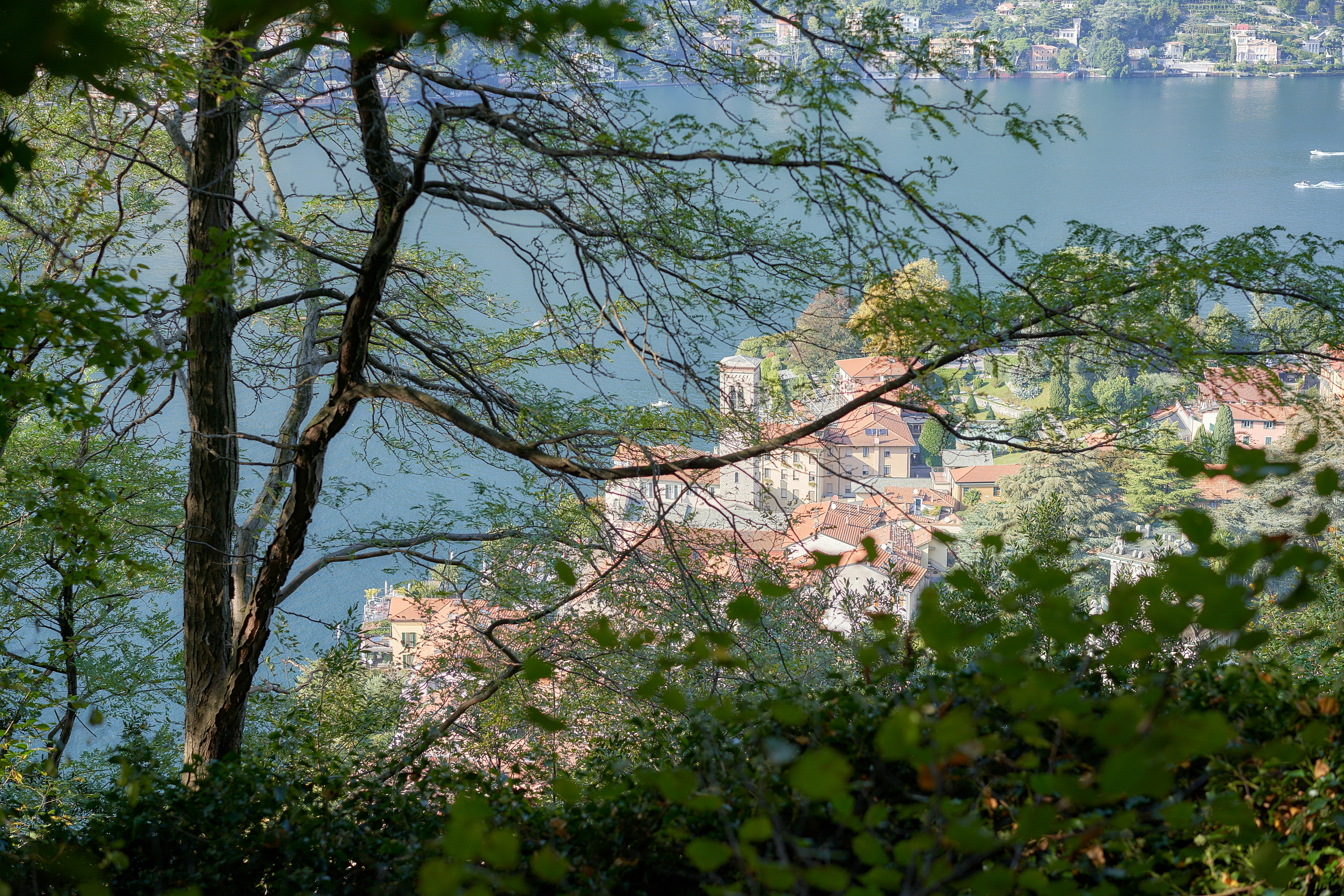 Lombard Szwoch Hanna