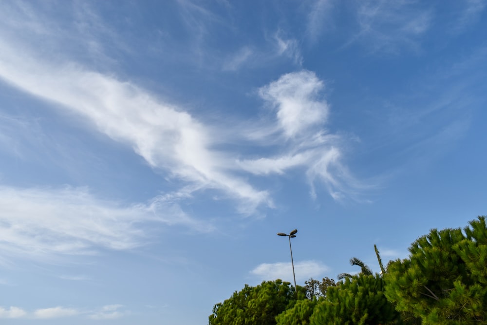 green trees under blue sky and white clouds during daytime