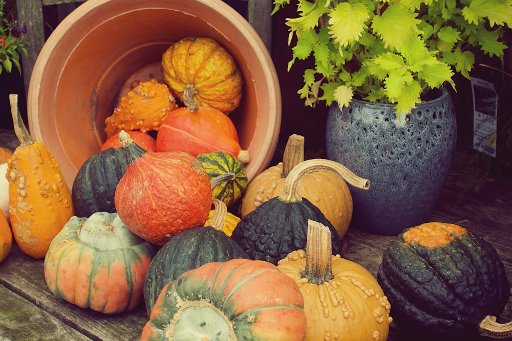 orange pumpkin on brown plastic container