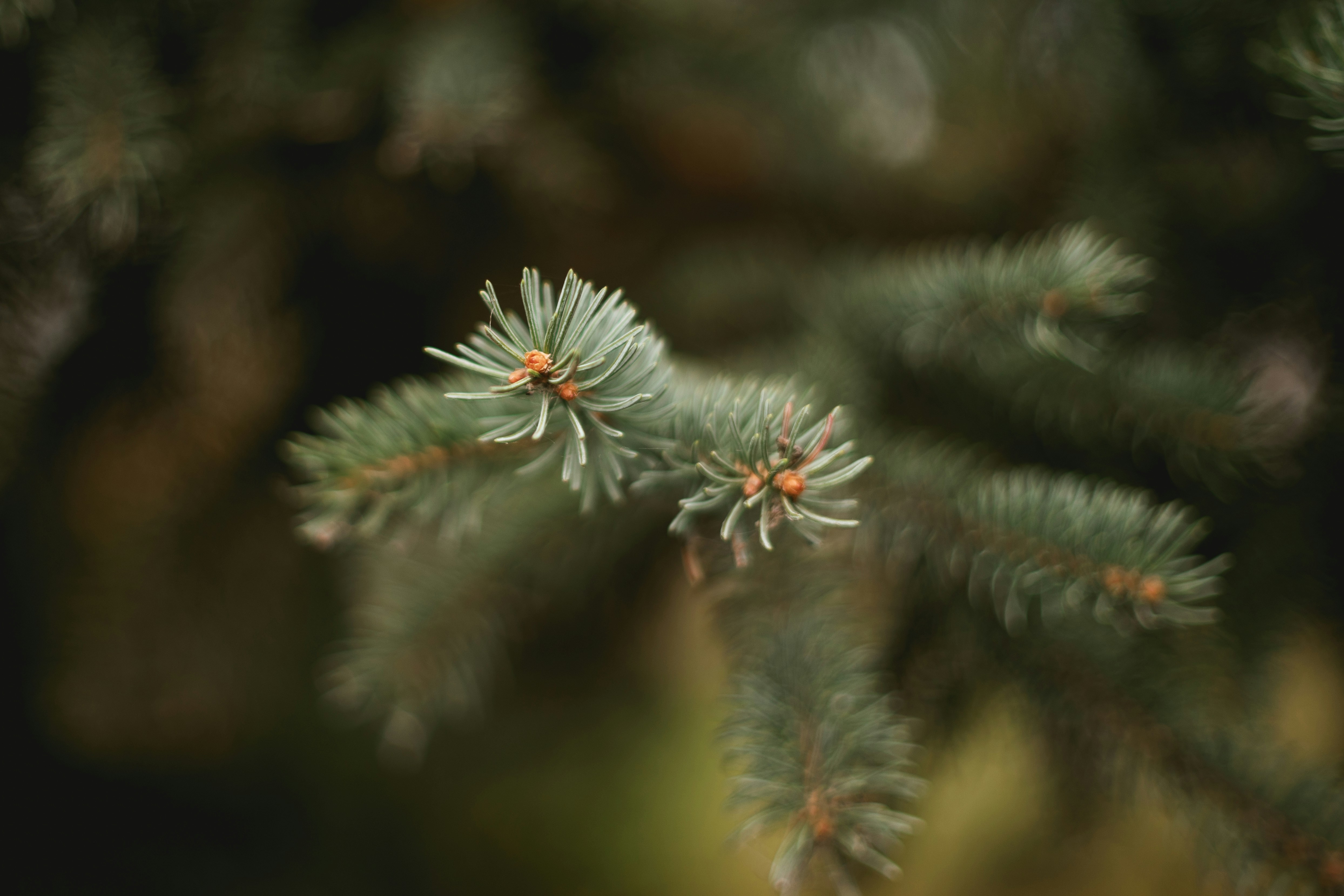 Photo by shootnmatch