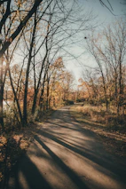 A peaceful trail winding through vibrant autumn woods with sunlight streaming through the leaves.