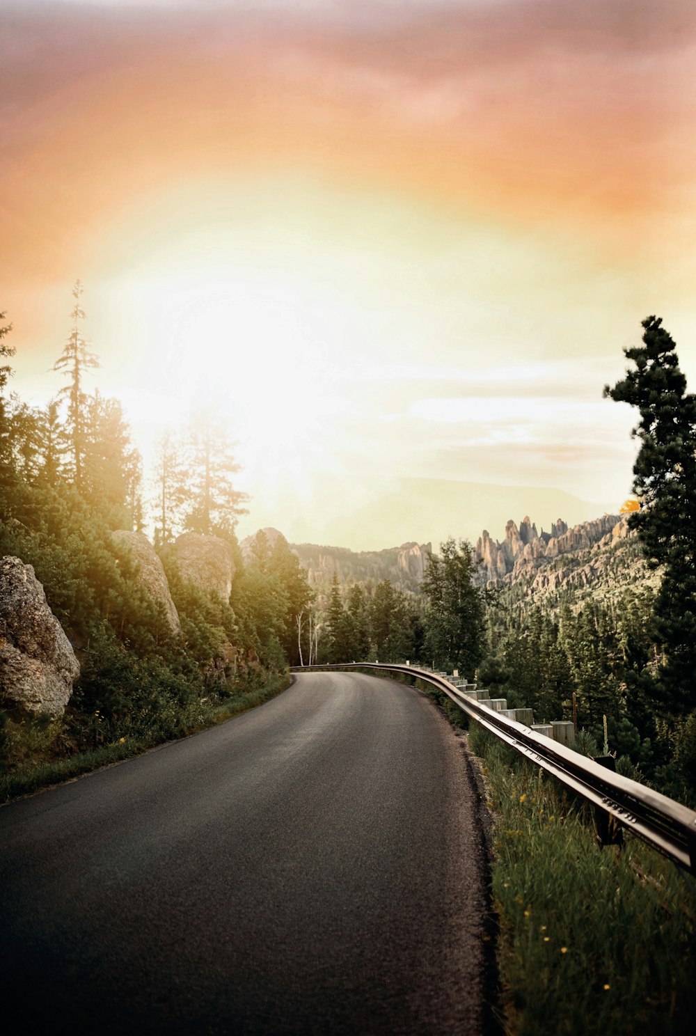 gray concrete road between green trees during daytime