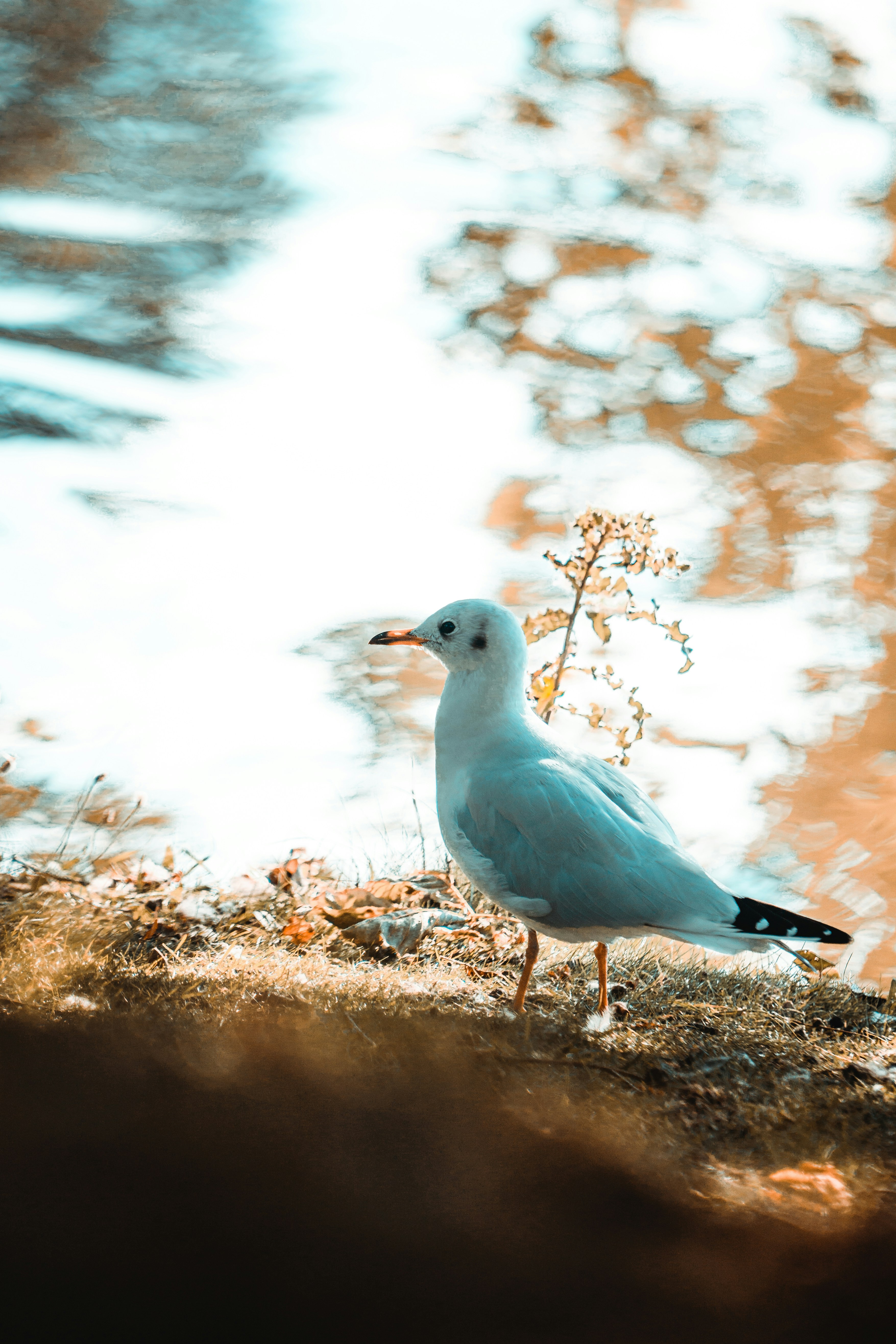 Photo by lennartspictures